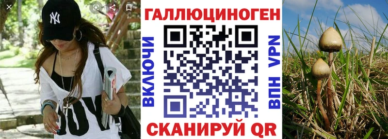 Галлюциногенные грибы GOLDEN TEACHER Сольцы